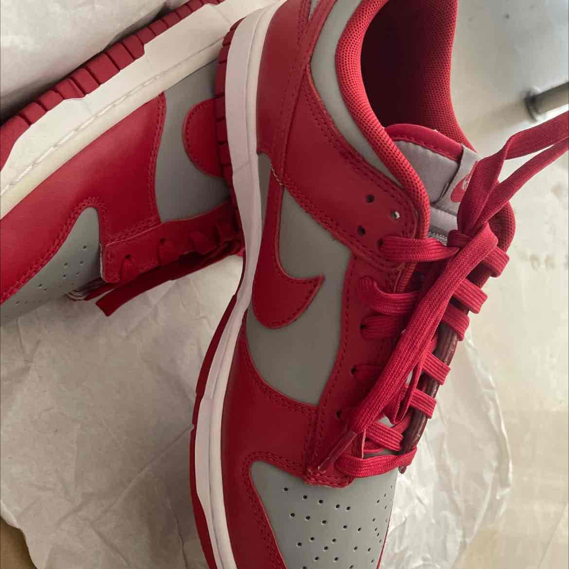 Nike Dunk Low Gray/Red Size 9.5 — 2
