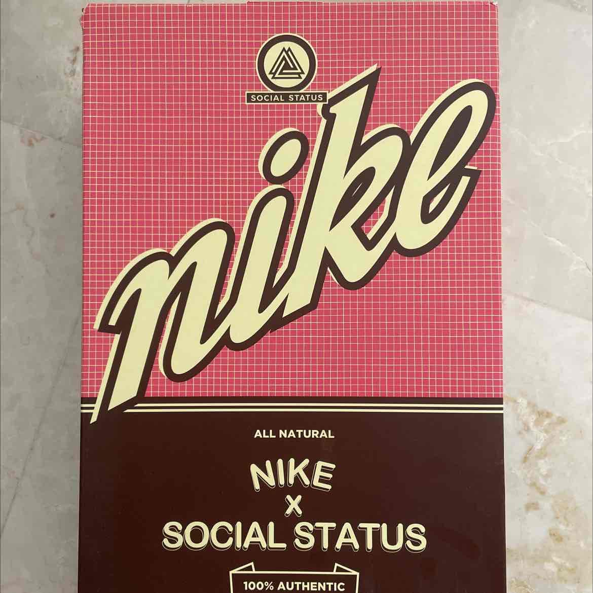 Nike Dunk Mid Ss Milk/Coco Size 10 — 3
