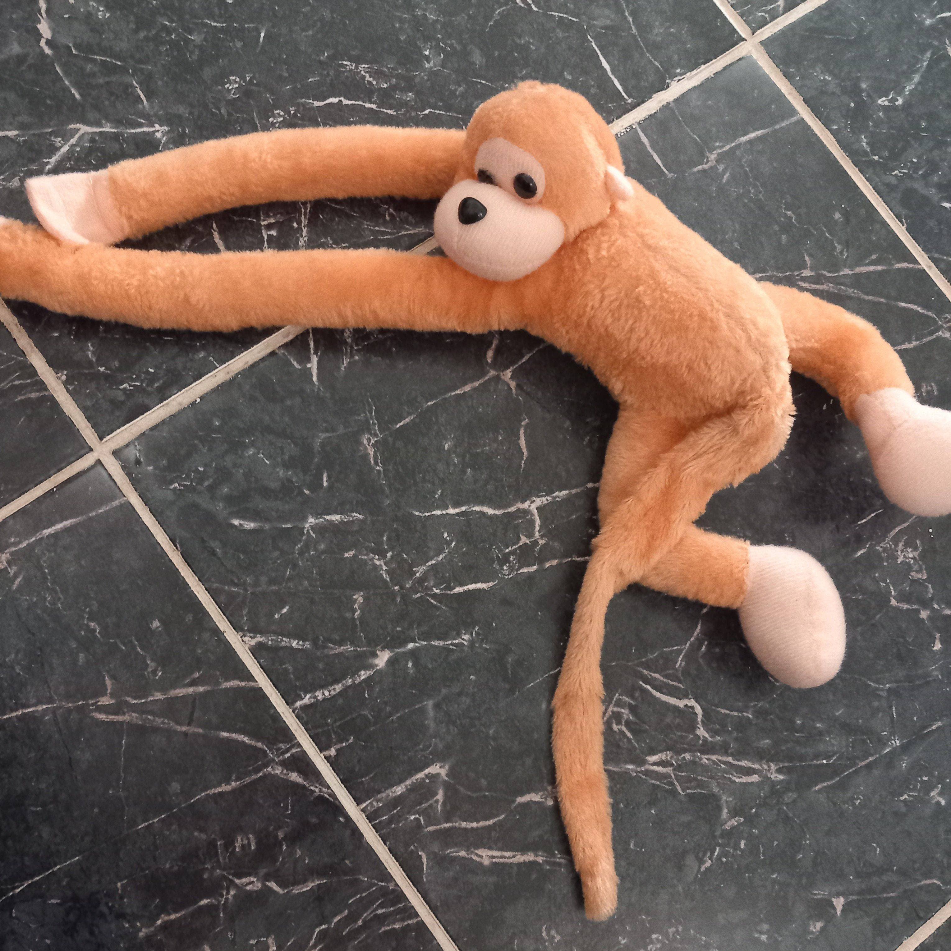 Hanging Monkey