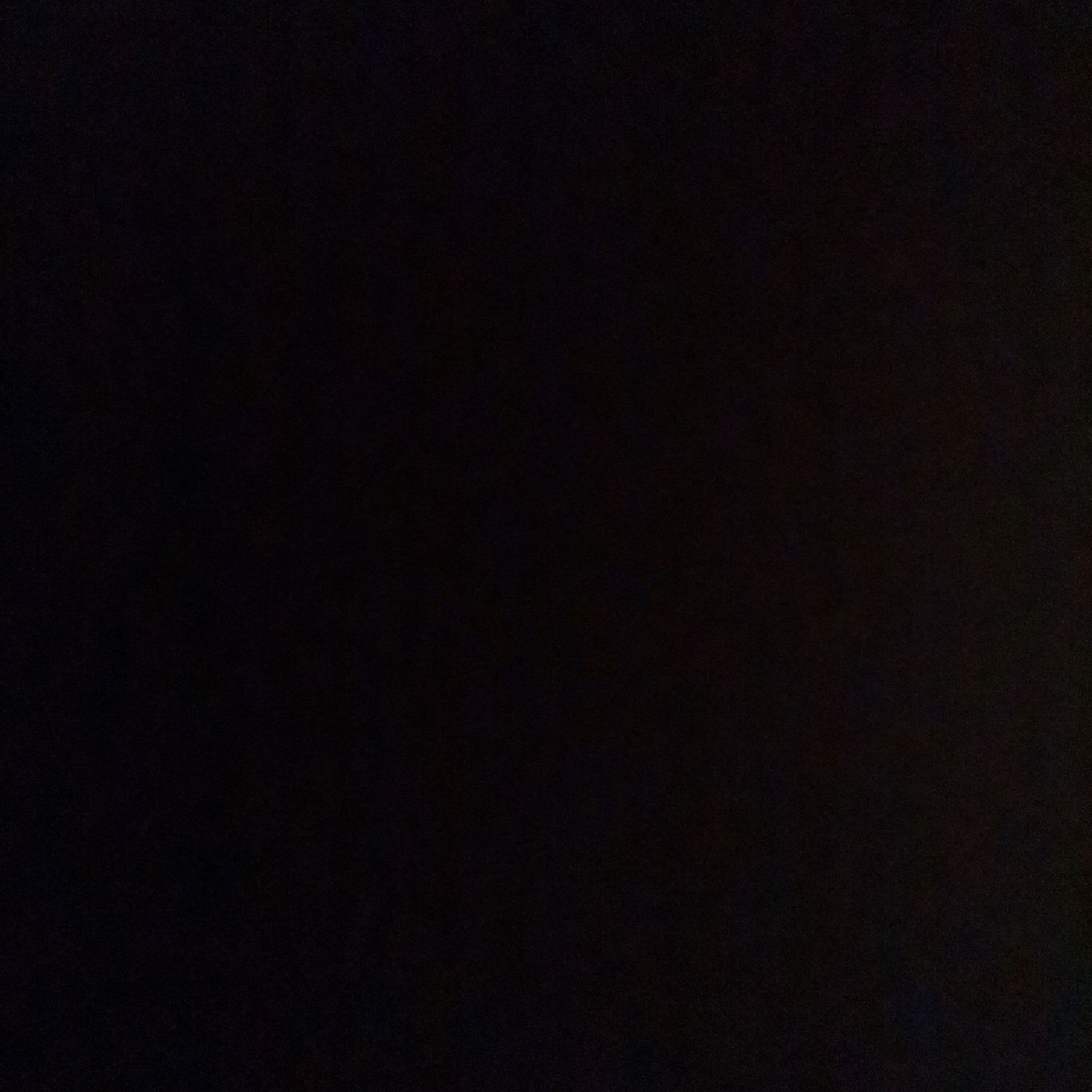 قط منزلي