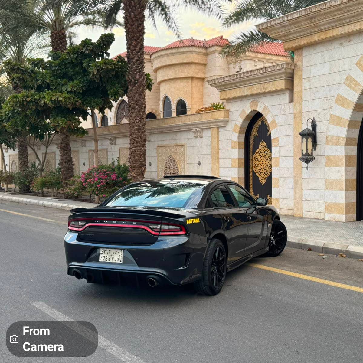 Dodge Charger 17 Daytona  — 3