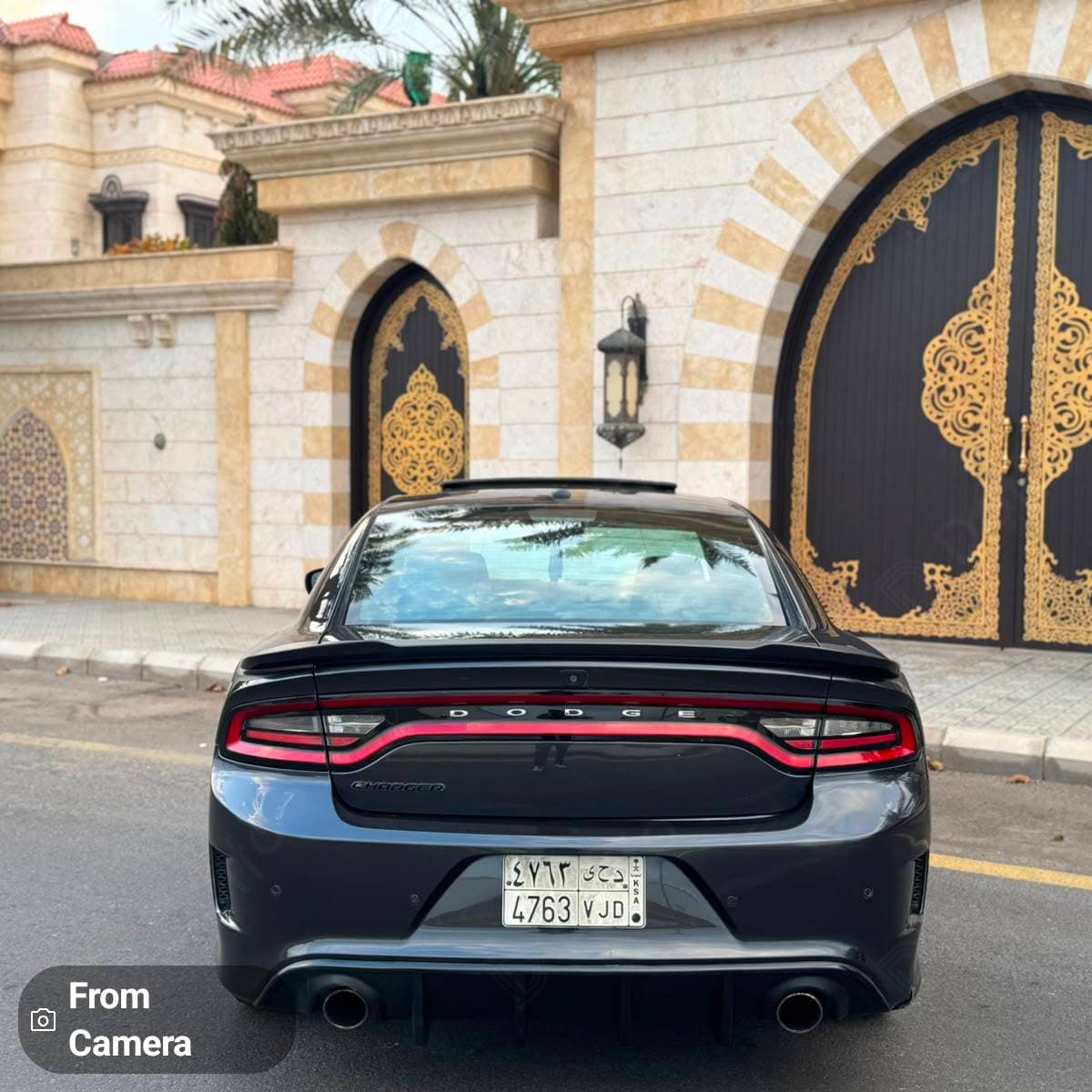 Dodge Charger 17 Daytona  — 4
