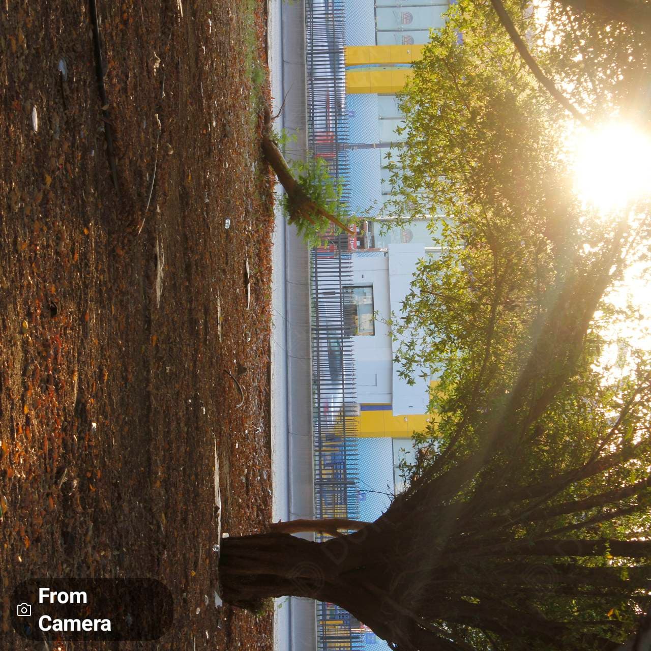 كاميرا Canon 550 D — 5